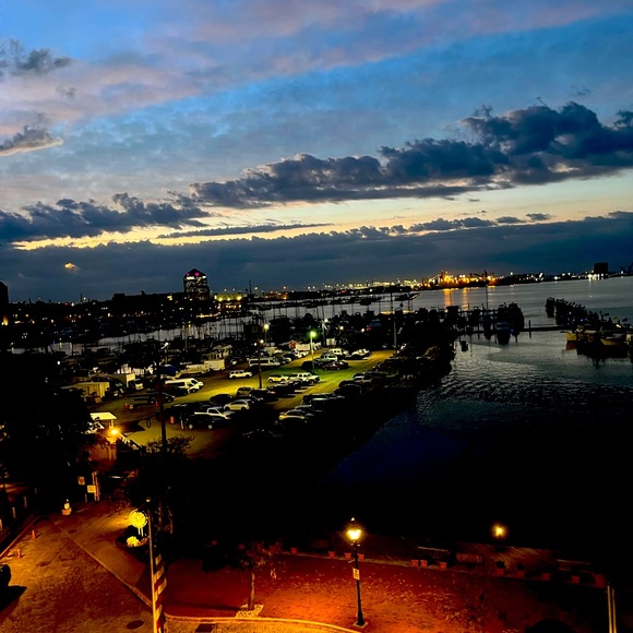 Meet your Posher, Ebony - Picture 1 of 1